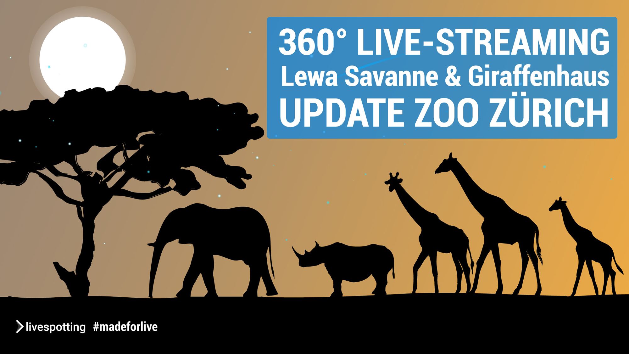 Wir betreiben die Live-Streams und Webcams für den Zoo Zürich.