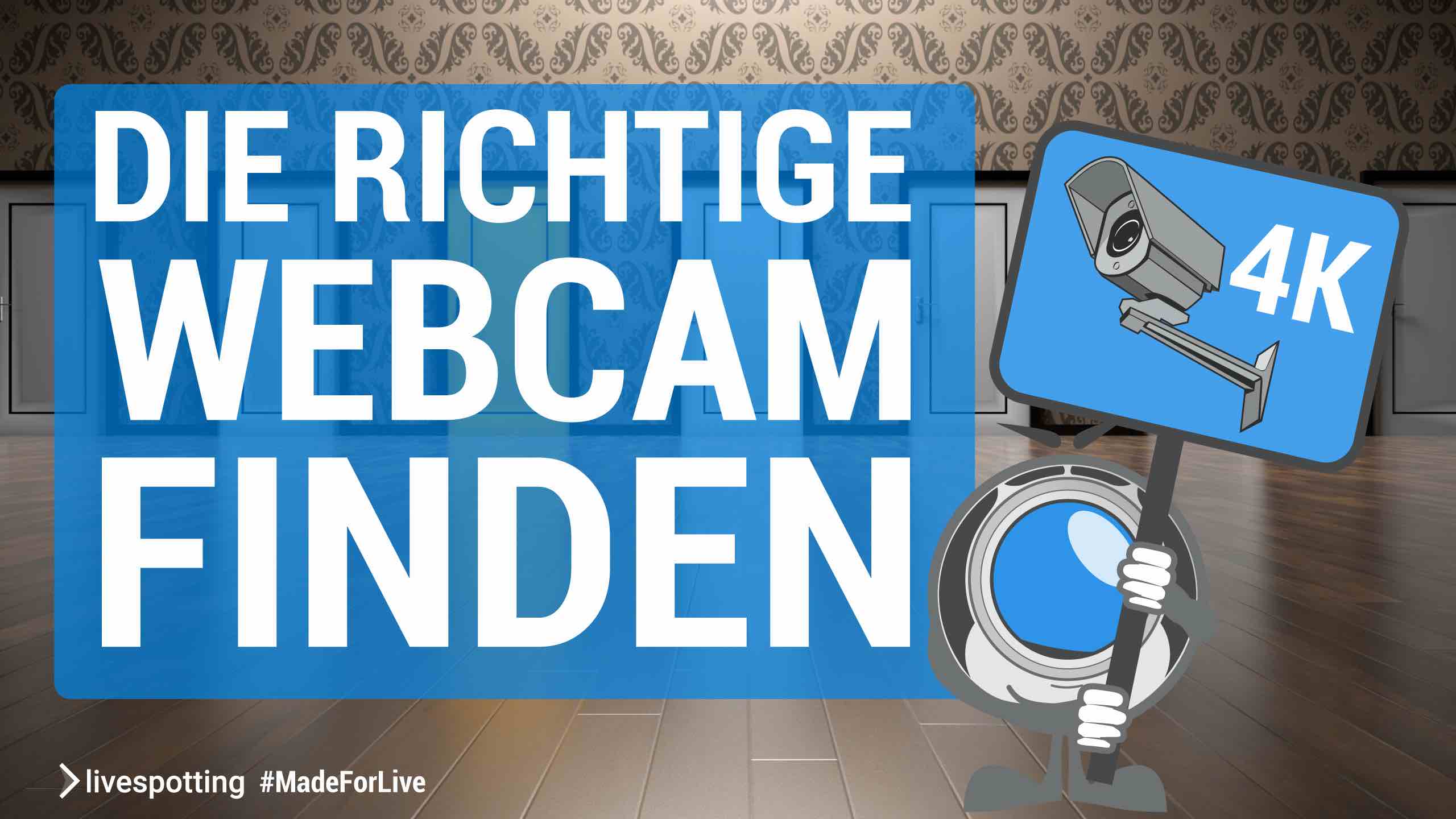 Anleitung und Hilfe: Wie finde ich die richtige Webcam? Wie finde ich die richtige Netzwerkkamera? Hilfe zum Betrieb einer öffentlichen Webcam mit Live-Streaming für professionelles Videomarketing.
