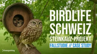 Steinkauz im Livestream: BirdLife Schweiz zeigt Naturschutz live – umgesetzt mit livespotting-Technik.